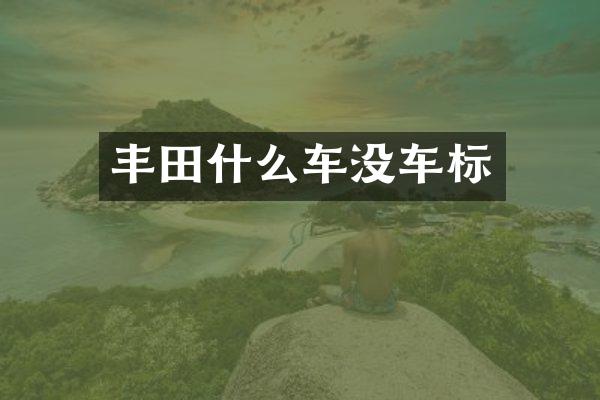 丰田什么车没车标