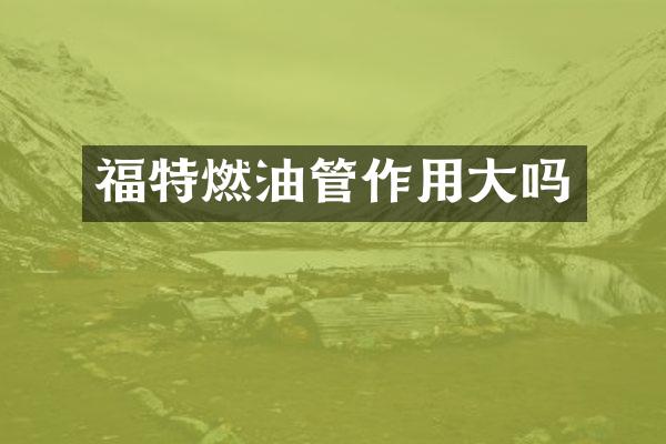 福特燃油管作用大吗