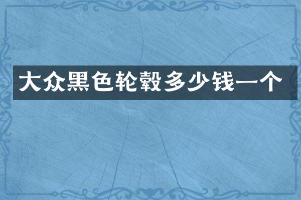 大众黑色轮毂多少钱一个