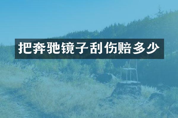 把奔驰镜子刮伤赔多少