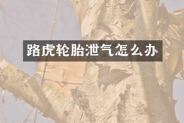 路虎轮胎泄气怎么办