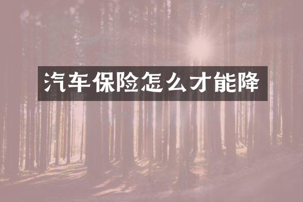 汽车保险怎么才能降