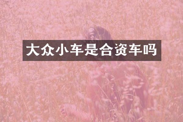 大众小车是合资车吗