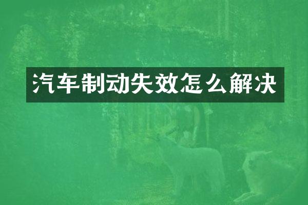汽车制动失效怎么解决