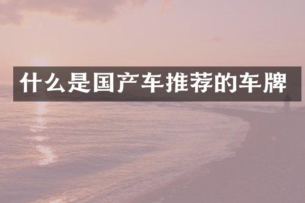 什么是国产车推荐的车牌