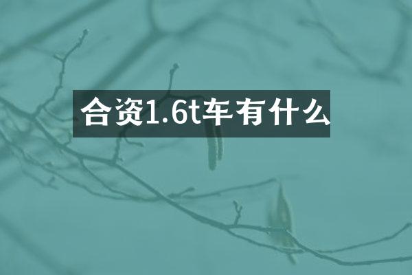 合资1.6t车有什么