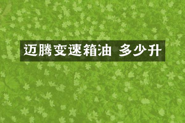 迈腾变速箱油 多少升