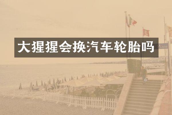 大猩猩会换汽车轮胎吗