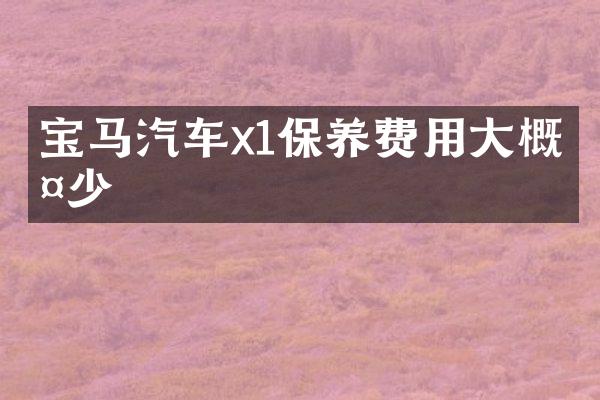 宝马汽车x1保养费用大概多少