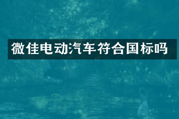 微佳电动汽车符合国标吗