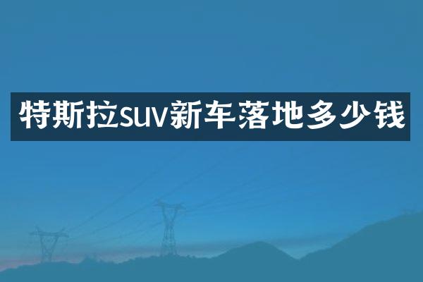 特斯拉suv新车落地多少钱