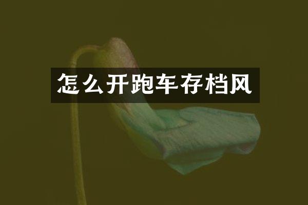 怎么开跑车存档风
