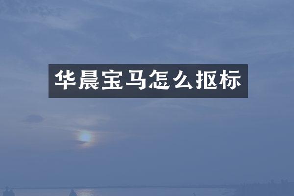 华晨宝马怎么抠标
