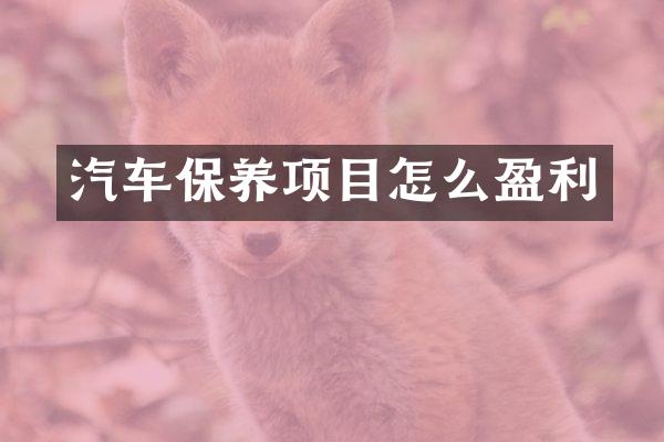 汽车保养项目怎么盈利