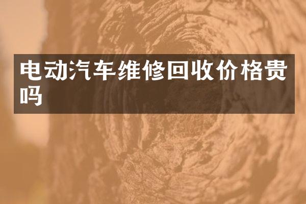 电动汽车维修回收价格贵吗