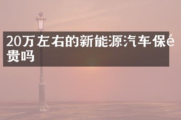 20万左右的新能源汽车保险贵吗