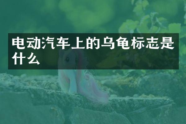 电动汽车上的乌龟标志是什么