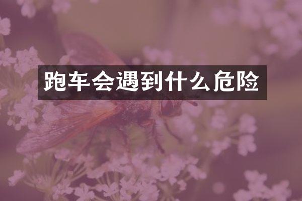 跑车会遇到什么危险