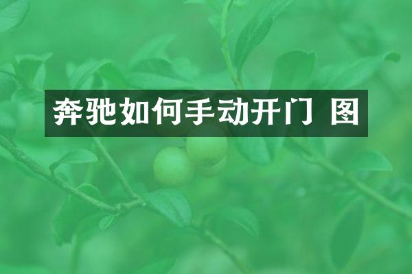 奔驰如何手动开门 图