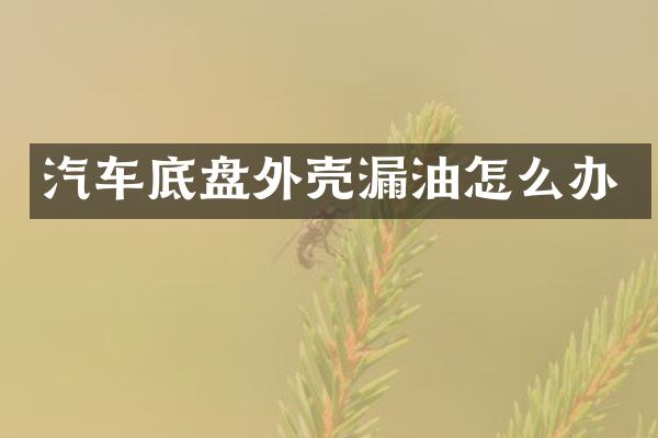 汽车底盘外壳漏油怎么办