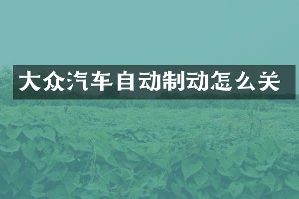大众汽车自动制动怎么关