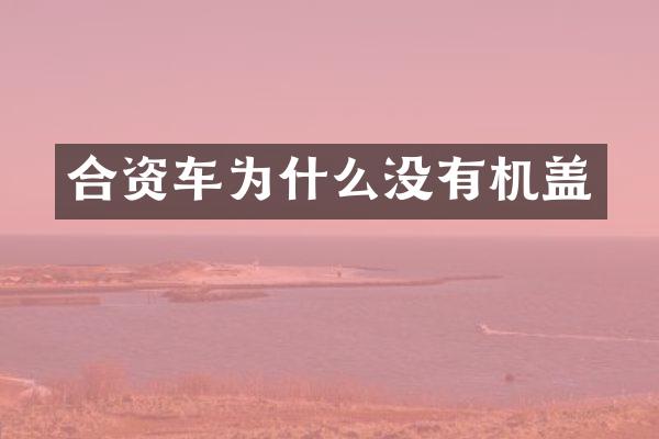 合资车为什么没有机盖