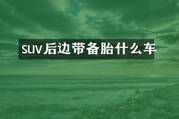 suv后边带备胎什么车