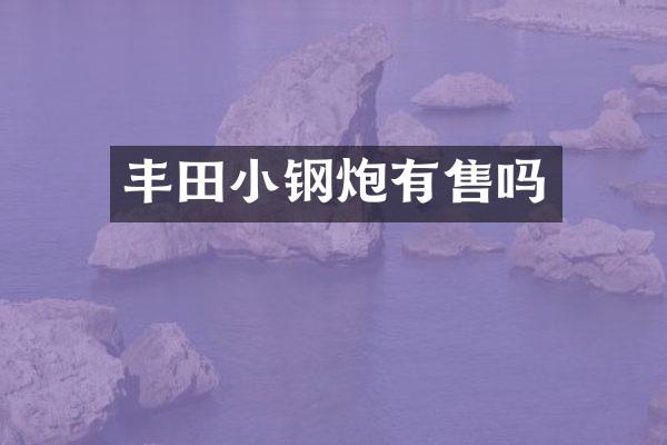 丰田小钢炮有售吗