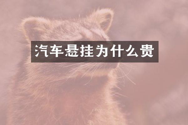 汽车悬挂为什么贵