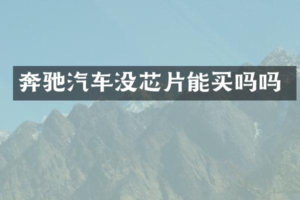 奔驰汽车没芯片能买吗吗