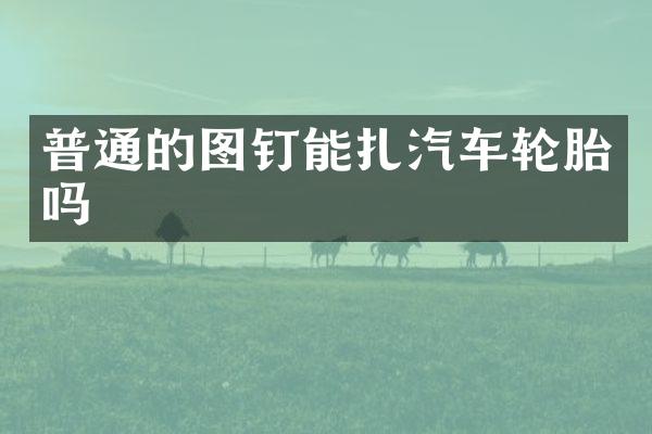 普通的图钉能扎汽车轮胎吗