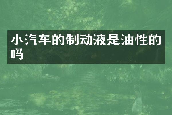 小汽车的制动液是油性的吗