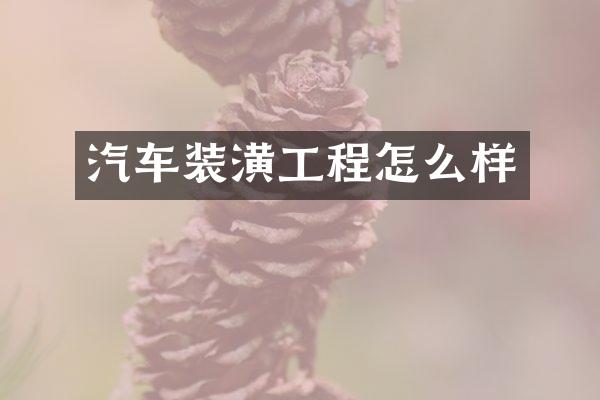 汽车装潢工程怎么样