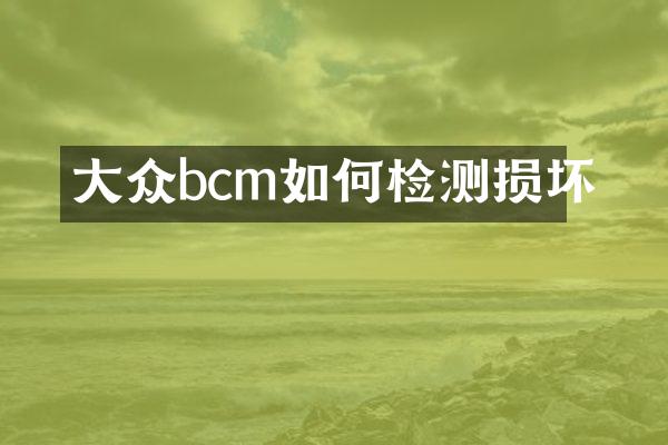 大众bcm如何检测损坏