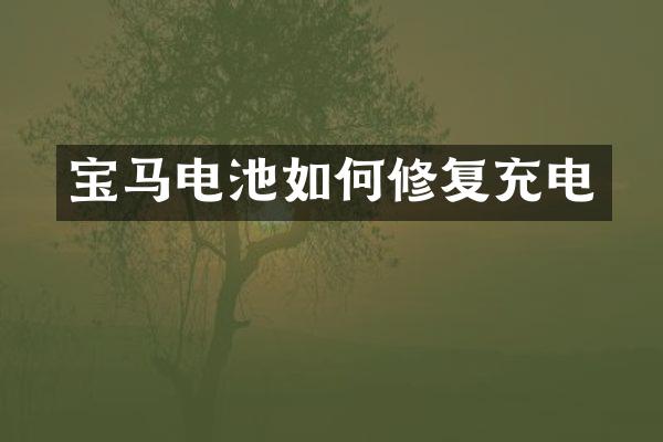 宝马电池如何修复充电