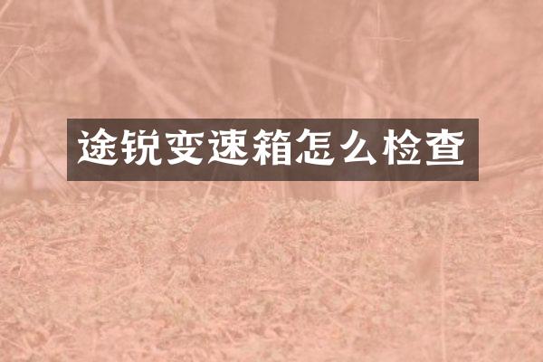 途锐变速箱怎么检查