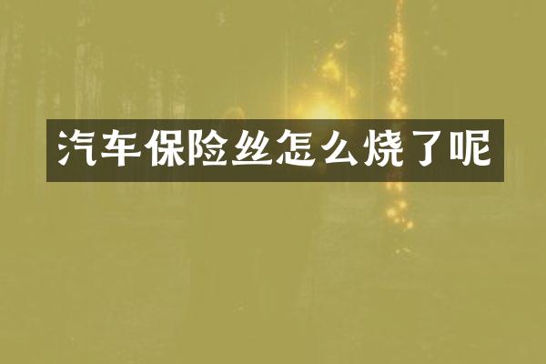 汽车保险丝怎么烧了呢