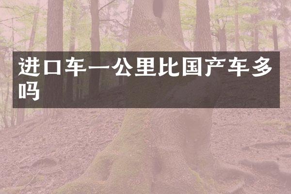 进口车一公里比国产车多吗