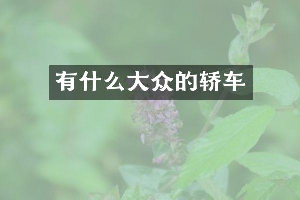 有什么大众的轿车