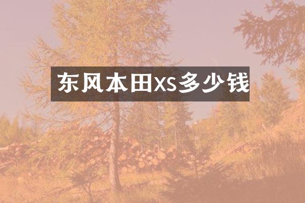 东风本田xs多少钱