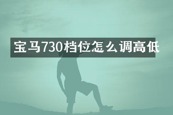 宝马730档位怎么调高低