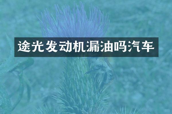 途光发动机漏油吗汽车