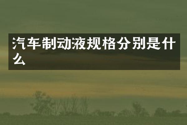 汽车制动液规格分别是什么