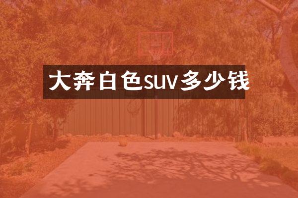 大奔白色suv多少钱