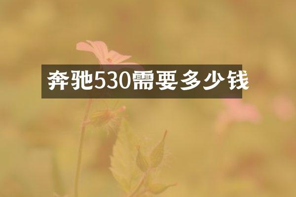 奔驰530需要多少钱