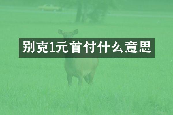 别克1元首付什么意思