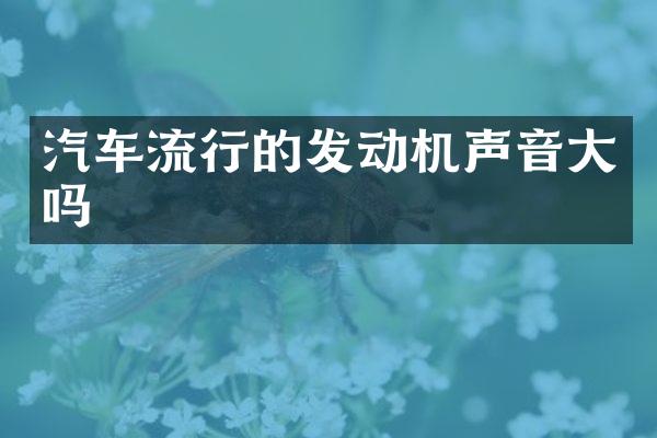 汽车流行的发动机声音大吗