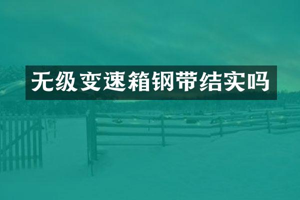无级变速箱钢带结实吗