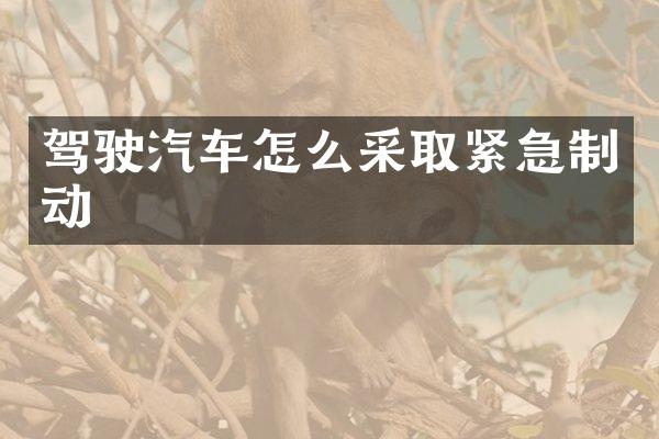 驾驶汽车怎么采取紧急制动