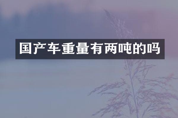 国产车重量有两吨的吗